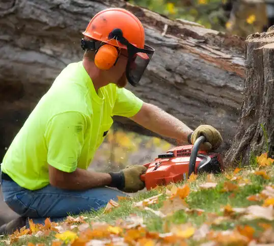 tree services Butterfield